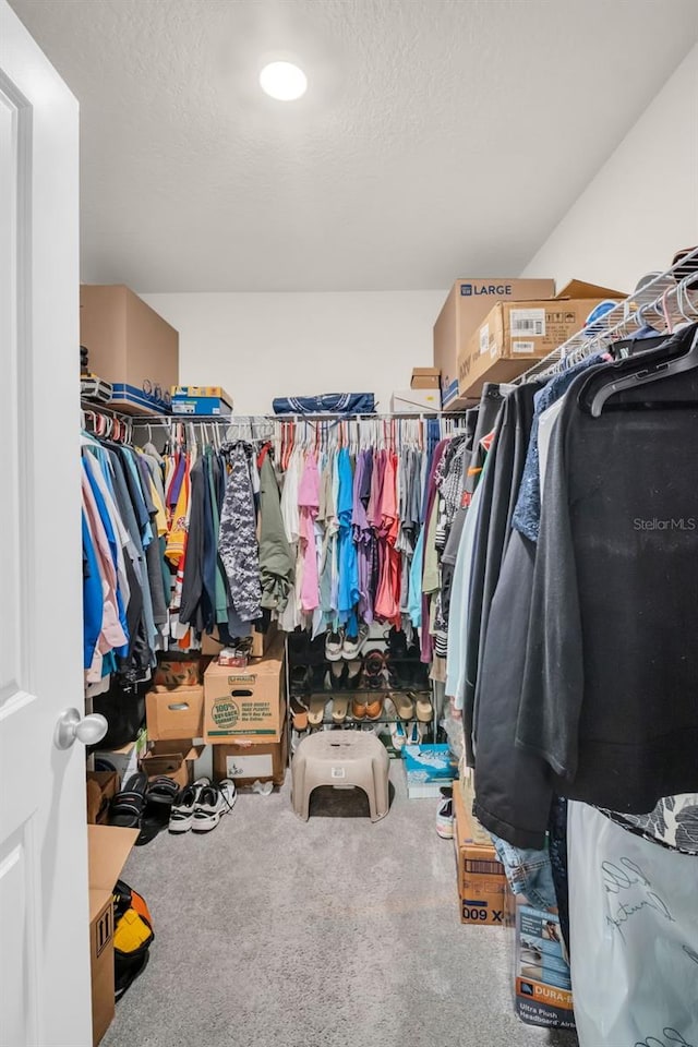 7774 Sail Clover Ln, Zephyrhills, FL 33540 - spacious closet with carpet flooring