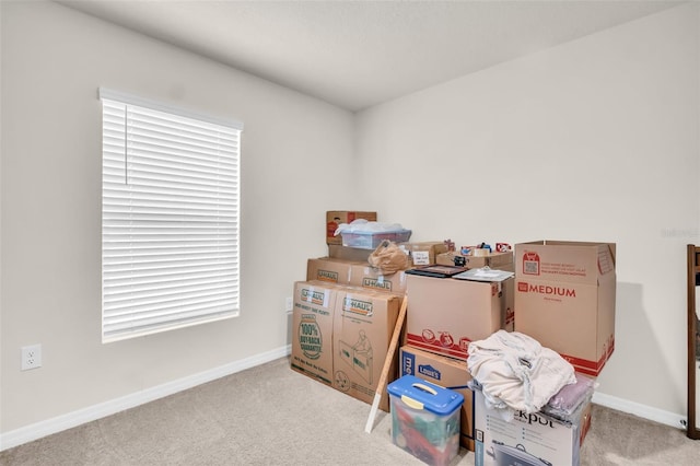7774 Sail Clover Ln, Zephyrhills, FL 33540 - view of storage