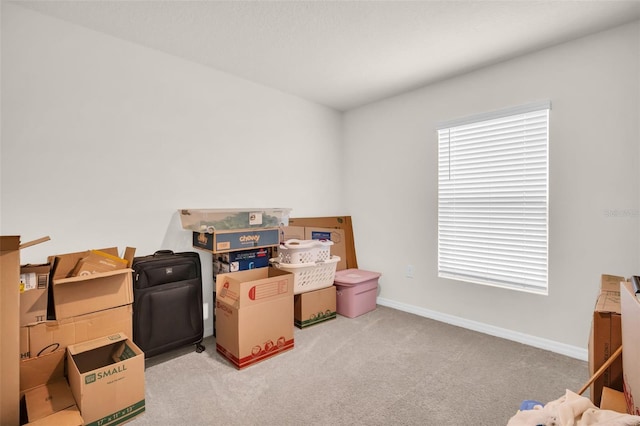 7774 Sail Clover Ln, Zephyrhills, FL 33540 - view of storage