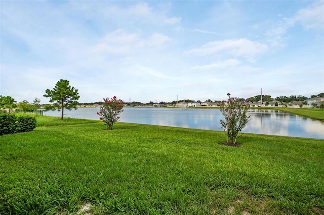 7774 Sail Clover Ln, Zephyrhills, FL 33540 - photo 27