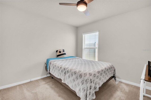 7774 Sail Clover Ln, Zephyrhills, FL 33540 - photo 37