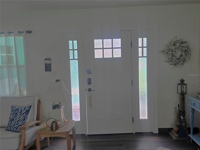 1626 Sea Breeze Dr, Tarpon Springs, FL 34689 - entryway with dark wood-style floors