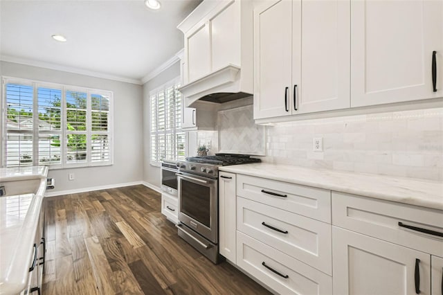 18203 Tivoli Ln, Lutz, FL 33558 - kitchen with high end stainless steel range oven, ornamental molding, dark wood-style flooring, tasteful backsplash, and white cabinets