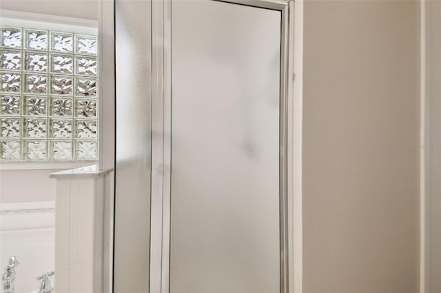 18203 Tivoli Ln, Lutz, FL 33558 - bathroom view of a stall shower and a bath