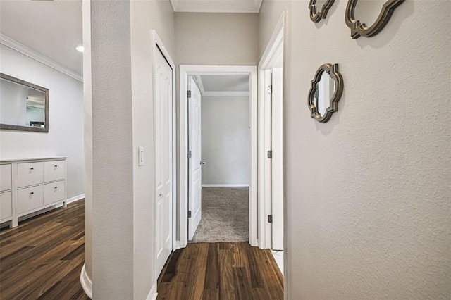 18203 Tivoli Ln, Lutz, FL 33558 - hall featuring crown molding and dark wood-style floors