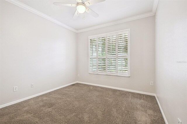 18203 Tivoli Ln, Lutz, FL 33558 - empty room featuring carpet floors, crown molding, and ceiling fan