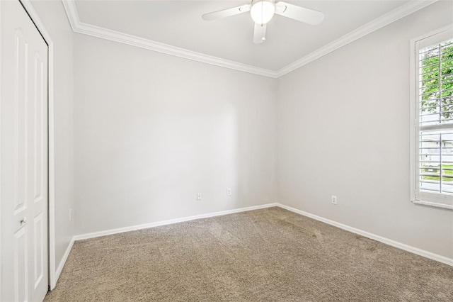 18203 Tivoli Ln, Lutz, FL 33558 - carpeted empty room with ornamental molding and a ceiling fan