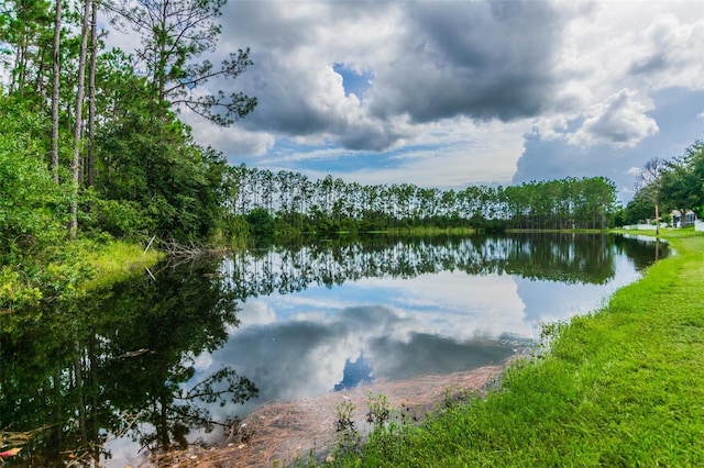 18203 Tivoli Ln, Lutz, FL 33558 - water view