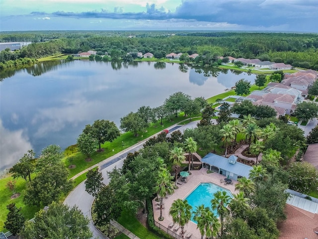 18203 Tivoli Ln, Lutz, FL 33558 - bird's eye view of a large body of water and a pool