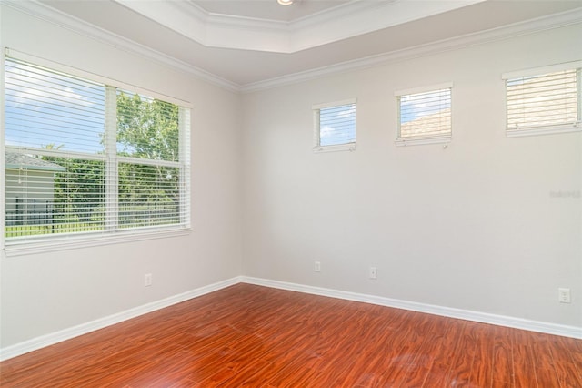 9067 39th Street Cir E, Parrish, FL 34219 - empty room with wood finished floors, crown molding, and a raised ceiling