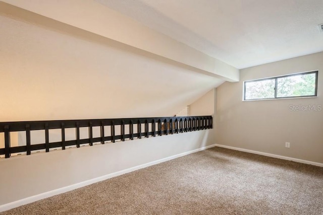 14909 Oldgate Pl, Tampa, FL 33624 - bonus room featuring carpet flooring and baseboards