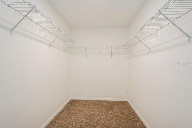 14909 Oldgate Pl, Tampa, FL 33624 - walk in closet with carpet flooring