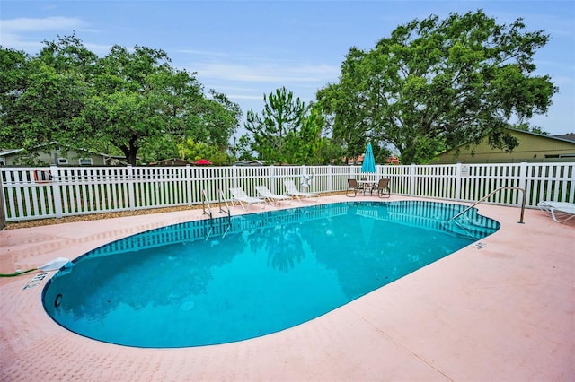 1902 Elaine Dr, Clearwater, FL 33760 - community pool featuring a patio area