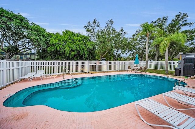 1902 Elaine Dr, Clearwater, FL 33760 - view of swimming pool with a patio