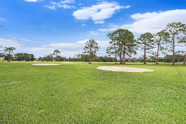 11220 Paradise Pointe Way, New Port Richey, FL 34654 - view of property's community featuring a lawn