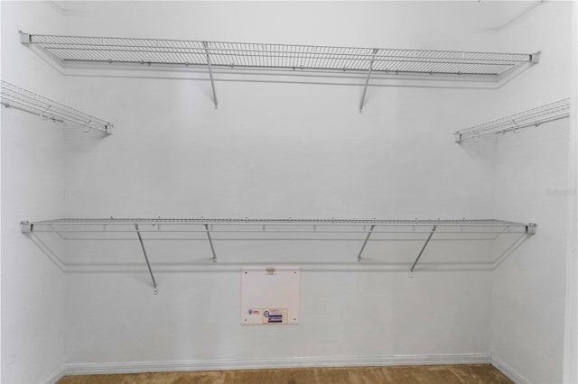 12631 Chenwood Ave, Hudson, FL 34669 - view of walk in closet