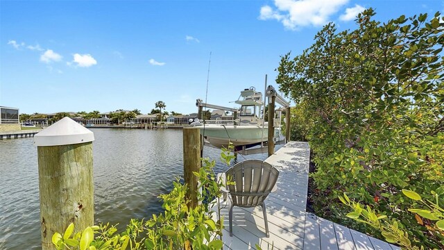 718 Pinckney Dr, Apollo Beach, FL 33572 - photo 19