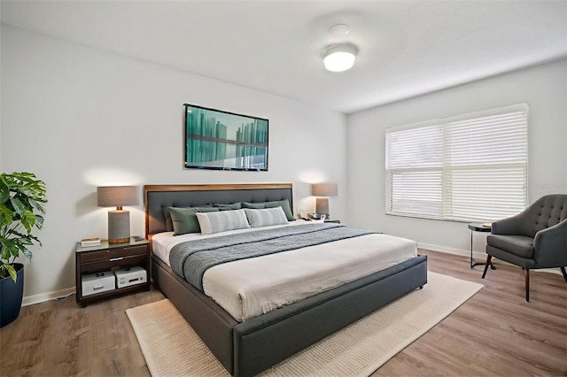 10101 Paddock Oaks Dr, Riverview, FL 33569 - bedroom with wood finished floors and baseboards