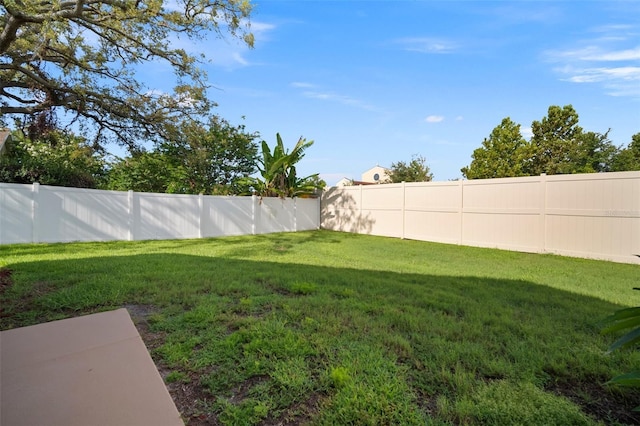 10101 Paddock Oaks Dr, Riverview, FL 33569 - view of fenced backyard
