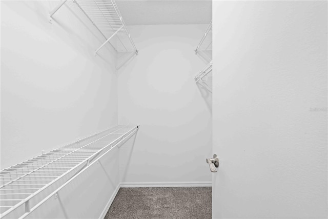 2141 Coachman Rd, Spring Hill, FL 34608 - walk in closet with carpet flooring