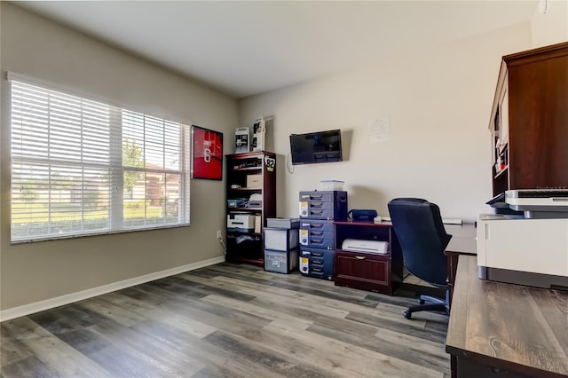 6648 Castle Green Pl, Zephyrhills, FL 33541 - home office featuring wood finished floors and baseboards