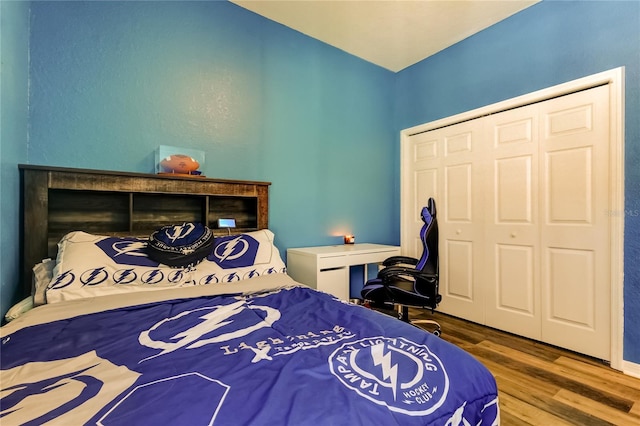 6648 Castle Green Pl, Zephyrhills, FL 33541 - bedroom featuring wood finished floors and a closet