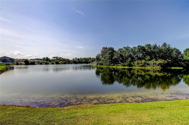 6648 Castle Green Pl, Zephyrhills, FL 33541 - water view