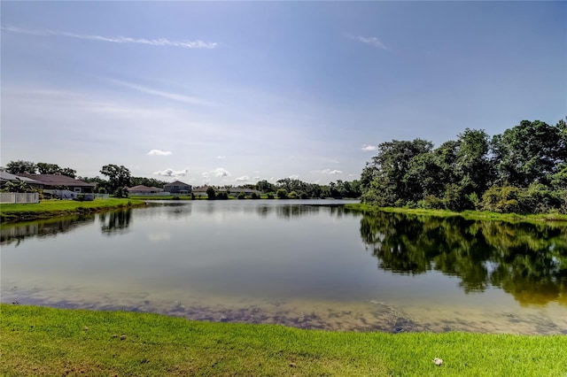 6648 Castle Green Pl, Zephyrhills, FL 33541 - water view