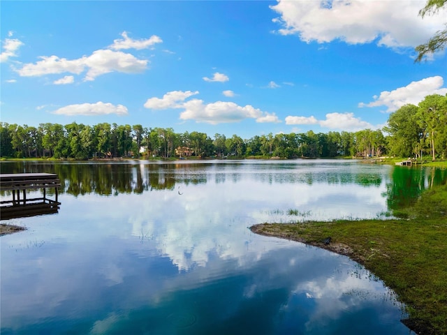 3663 Berger Rd, Lutz, FL 33548 - water view featuring a heavily wooded area