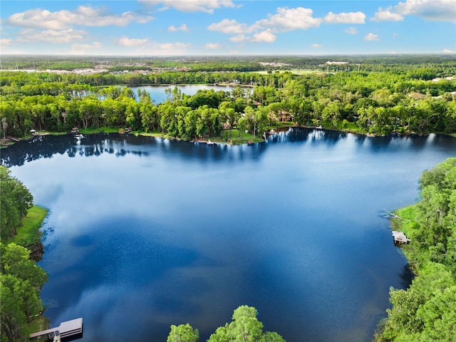 3663 Berger Rd, Lutz, FL 33548 - drone / aerial view of a forest and a large body of water