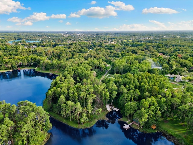 3663 Berger Rd, Lutz, FL 33548 - drone / aerial view of a heavily wooded area and a nearby body of water