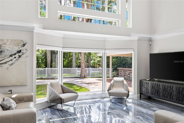 3663 Berger Rd, Lutz, FL 33548 - living room with a high ceiling and plenty of natural light