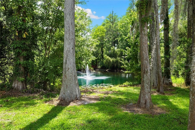 3663 Berger Rd, Lutz, FL 33548 - water view featuring a forest