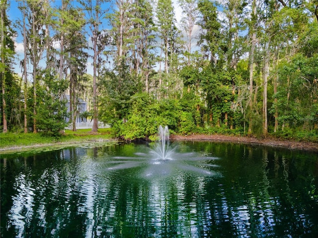 3663 Berger Rd, Lutz, FL 33548 - water view