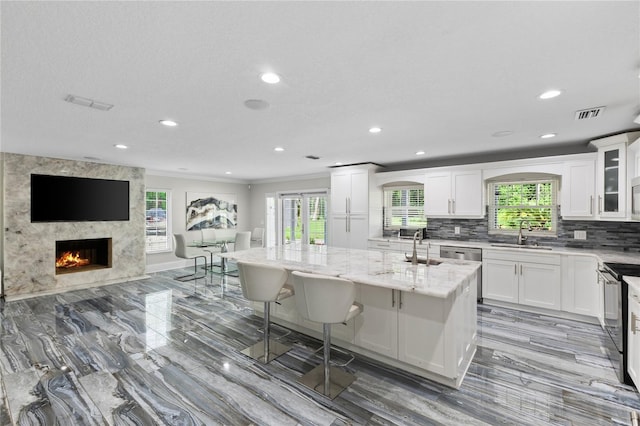 3663 Berger Rd, Lutz, FL 33548 - kitchen with light stone counters, white cabinetry, an island with sink, a premium fireplace, and healthy amount of natural light