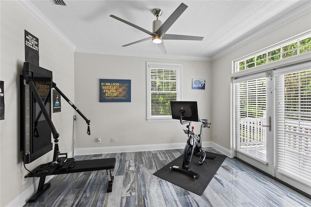 3663 Berger Rd, Lutz, FL 33548 - exercise area with a ceiling fan, plenty of natural light, a textured ceiling, wood finished floors, and crown molding