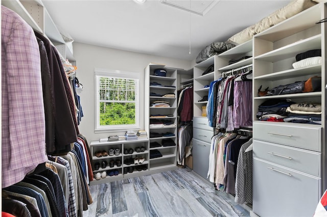 3663 Berger Rd, Lutz, FL 33548 - spacious closet with attic access and wood finished floors