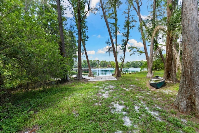 3663 Berger Rd, Lutz, FL 33548 - view of green lawn with a water view