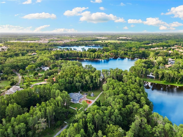 3663 Berger Rd, Lutz, FL 33548 - aerial view of a large body of water