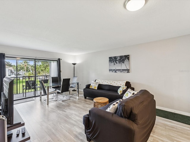 214 Meadow Ln Unit 214, Oldsmar, FL 34677 - living room with wood finished floors and baseboards