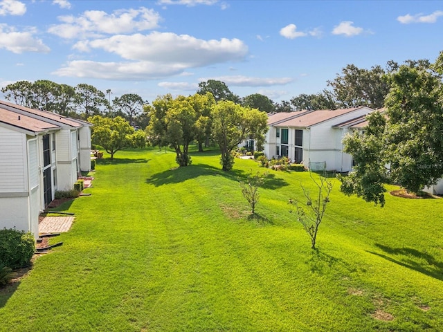 214 Meadow Ln Unit 214, Oldsmar, FL 34677 - view of green lawn