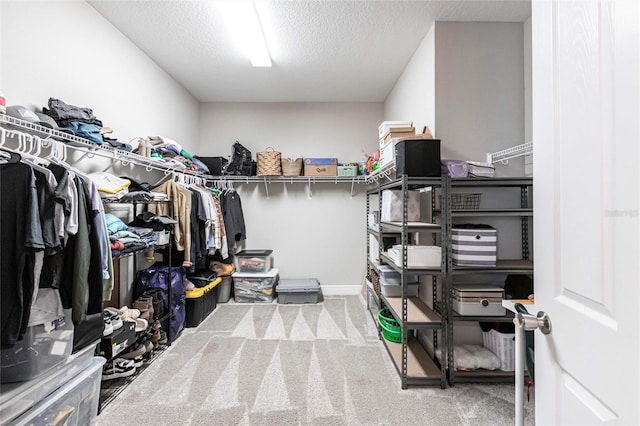 12646 Oak Hill Way, Parrish, FL 34219 - walk in closet featuring carpet floors