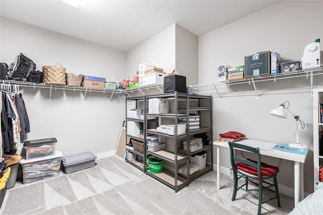 12646 Oak Hill Way, Parrish, FL 34219 - view of storage
