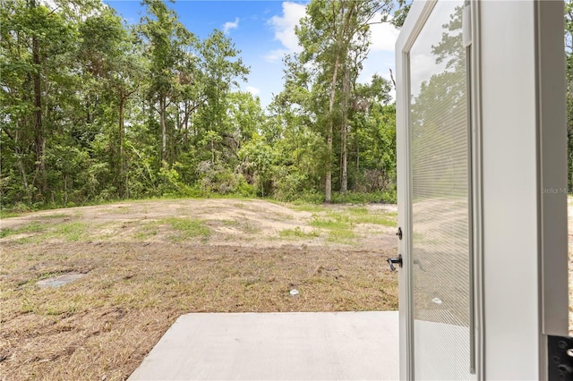 19267 Wildwood Dr, Brooksville, FL 34601 - photo 21