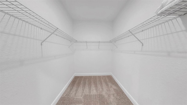 2918 N 21st St, Tampa, FL 33605 - photo 26
