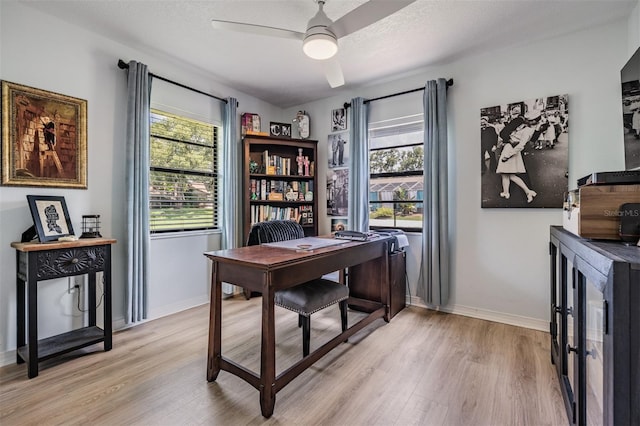 37147 Foxrun Pl, Zephyrhills, FL 33542 - office space featuring light wood finished floors, ceiling fan, and plenty of natural light