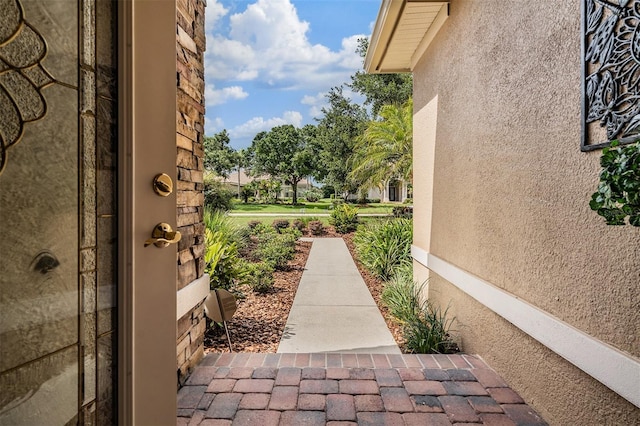 33744 Americana Ave, Dade City, FL 33525 - photo 17