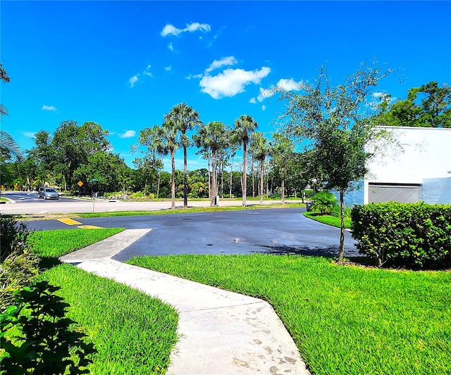 14113 Cypress Cir, Tampa, FL 33618 - photo 4