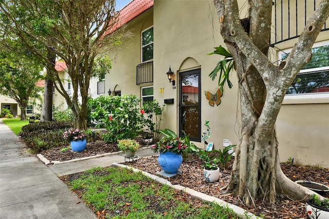 2700 Bayshore Blvd Unit 544, Dunedin, FL 34698 - doorway to property with stucco siding