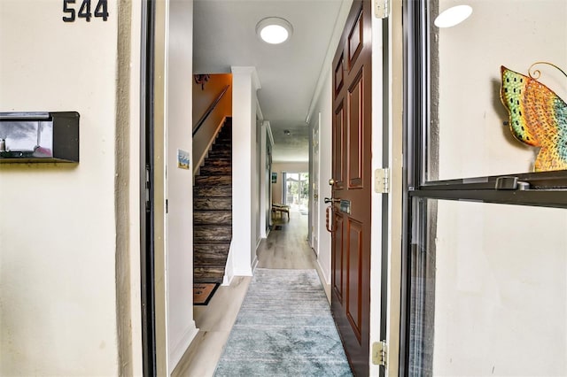 2700 Bayshore Blvd Unit 544, Dunedin, FL 34698 - corridor with light wood finished floors and stairway